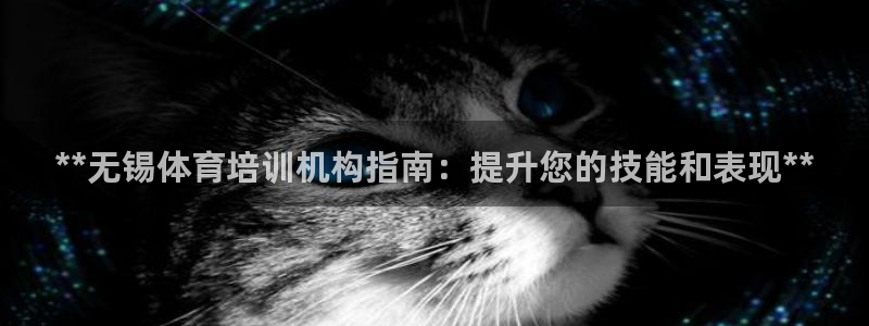 极悦娱乐创始人背景故事简介：**无锡体育培训机构指南