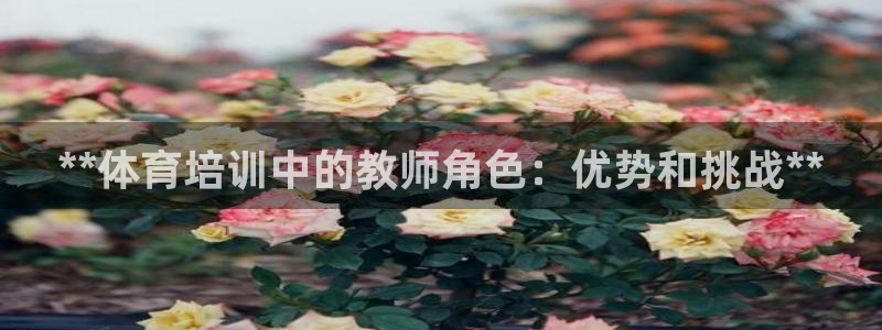 极悦娱乐官网客服联系方式：**体育培训中的教师角色：