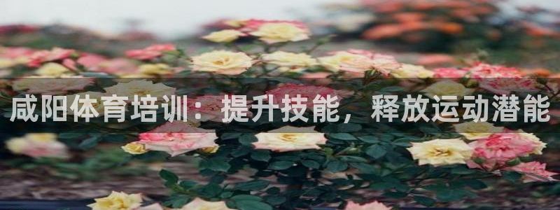 极悦平台家7O777：咸阳体育培训：提升技能，释放运