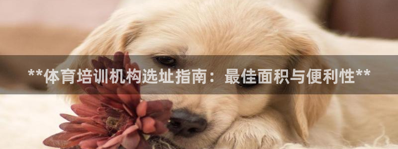 极悦平台是干什么的啊：**体育培训机构选址指南：最佳