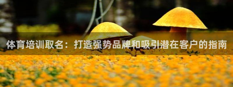 极悦娱乐会被骗吗是真的吗：体育培训取名：打造强势品牌