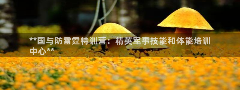 极悦牙膏怎么样知乎：**国与防雷霆特训营：精英军事技