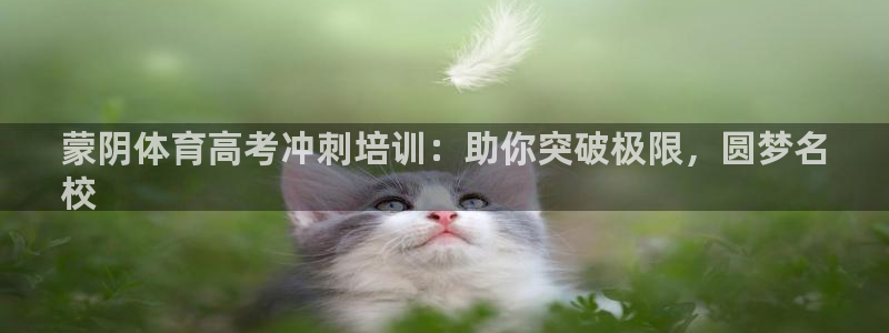 极悦平台是干什么的软件：蒙阴体育高考冲刺培训：助你突