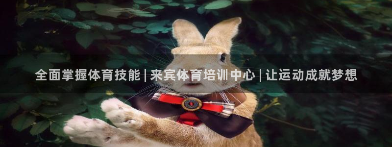 极悦娱乐官网最新版本更新内容：全面掌握体育技能 | 