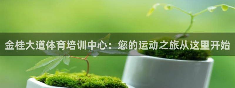 加盟极悦教育：金桂大道体育培训中心：您的运动之旅从这