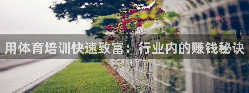 极悦官网旗舰店地址：用体育培训快速致富：行业内的赚钱