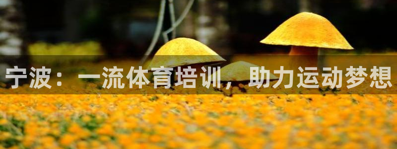 极悦平台注册用户名验证码是什么：宁波：一流体育培训，