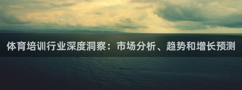 极悦平台代理：体育培训行业深度洞察：市场分析、趋势和