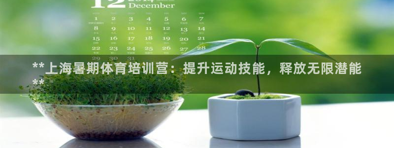 极悦平台网址皮皮虾下载：**上海暑期体育培训营：提升
