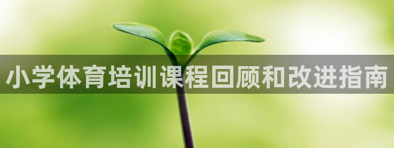 极悦娱乐代理多少钱一个月：小学体育培训课程回顾和改进