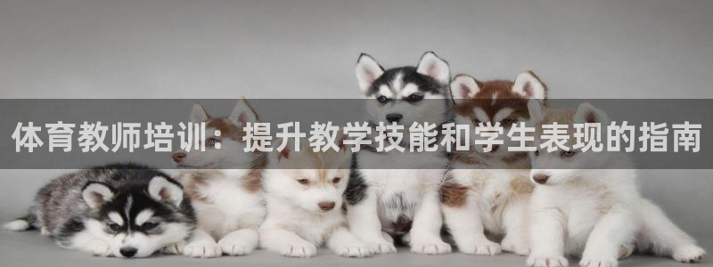 极悦娱乐官网下载：体育教师培训：提升教学技能和学生表
