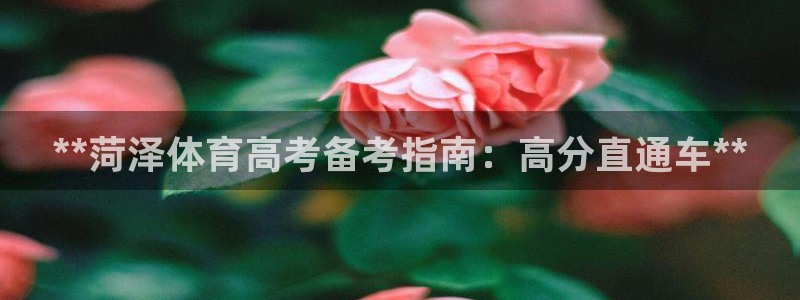 极悦平台app安全吗：**菏泽体育高考备考指南：高分