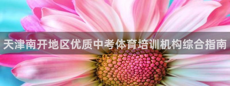 极悦官方网站入口：天津南开地区优质中考体育培训机构综