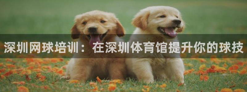 极悦娱乐挂机赚钱是真的吗：深圳网球培训：在深圳体育馆