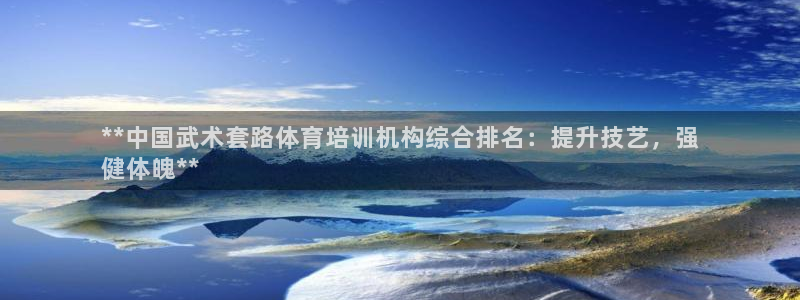 极悦平台注册流程详解：**中国武术套路体育培训机构综