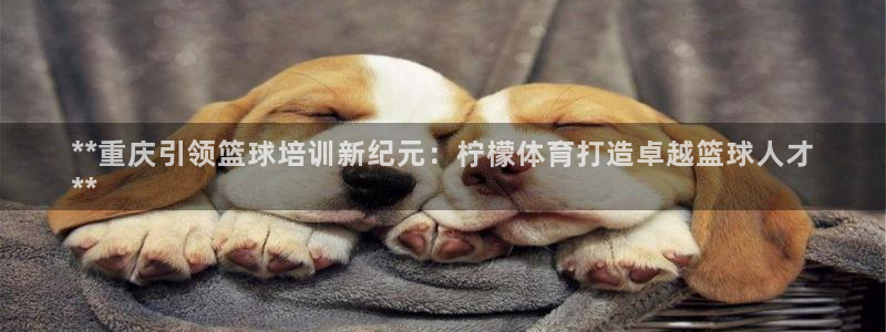 极悦平台代理怎么赚钱的：**重庆引领篮球培训新纪元：