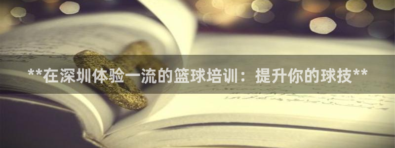 极悦平台代理怎么赚钱：**在深圳体验一流的篮球培训：