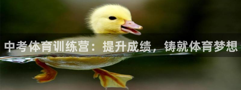 极悦娱乐的背景和历史背景是什么：中考体育训练营：提升