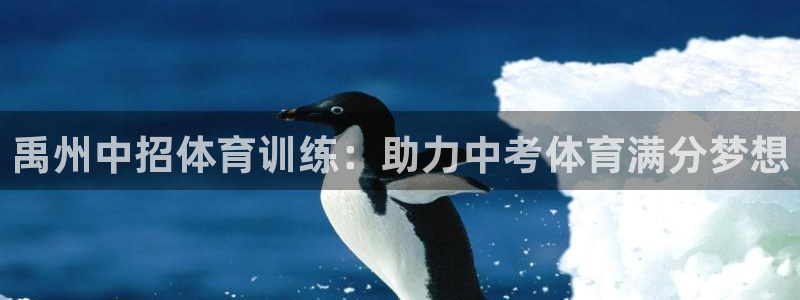 极悦娱乐登录网站每天的工作内容：禹州中招体育训练：助