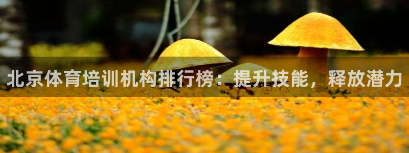 极悦平台官方网址是多少：北京体育培训机构排行榜：提升