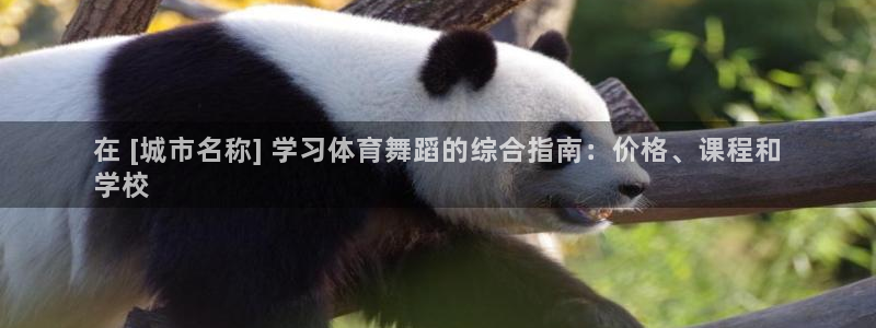 极悦平台代理电话：在 [城市名称] 学习体育舞蹈的综
