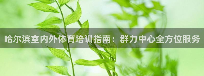 极悦娱乐登录拒绝访问怎么办理：哈尔滨室内外体育培训指