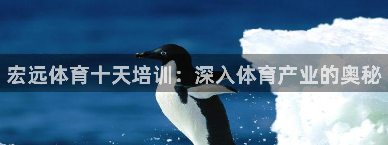 极悦平台注册失败如何解决呢：宏远体育十天培训：深入体