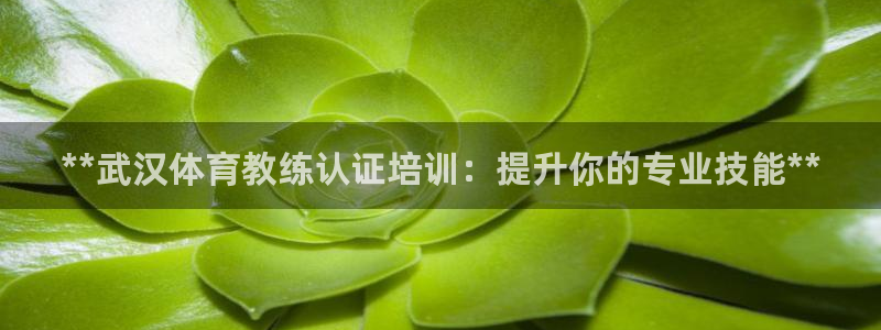 极悦官网下载最新版本更新内容视频：**武汉体育教练认