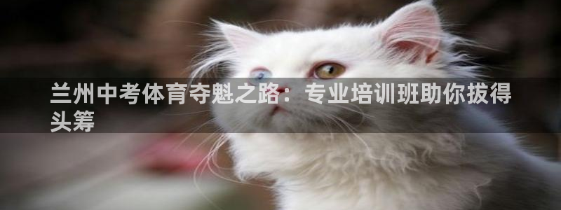 极悦官网首页：兰州中考体育夺魁之路：专业培训班助你拔