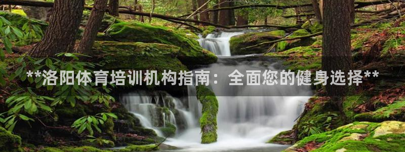 极悦娱乐官网下载app：**洛阳体育培训机构指南：全面您的健