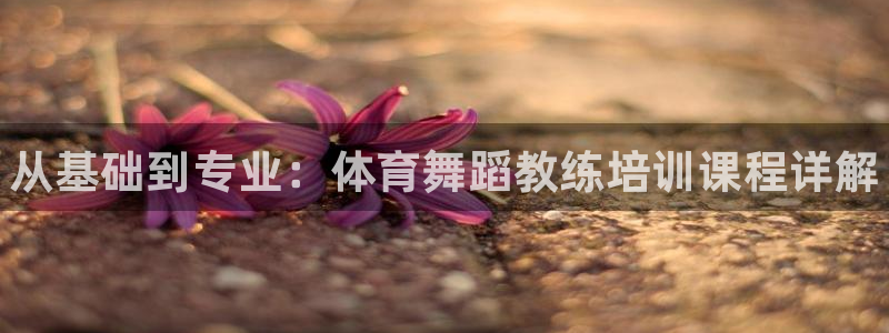 极悦娱乐成7O777：从基础到专业：体育舞蹈教练培训