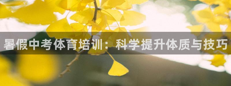 极悦官网首页登录入口：暑假中考体育培训：科学提升体质与技巧