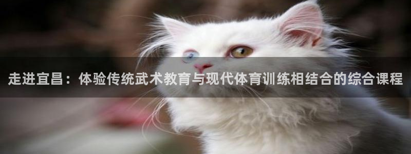 极悦平台方7O777：走进宜昌：体验传统武术教育与现