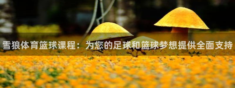 极悦娱乐代理多少钱一年：雪狼体育篮球课程：为您的足球