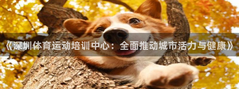 极悦娱乐代理：《深圳体育运动培训中心：全面推动城市活