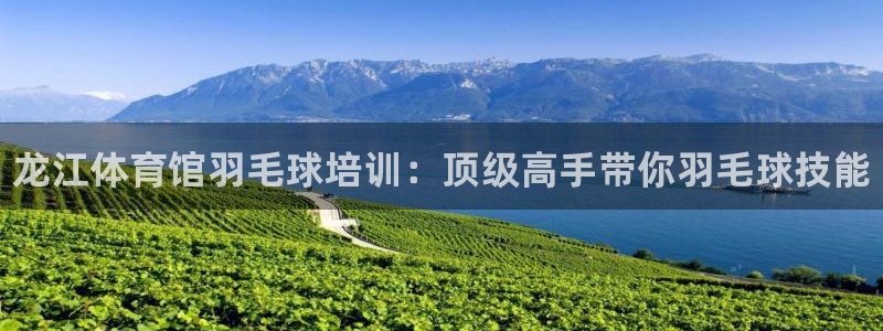 极悦娱乐代理人是谁啊