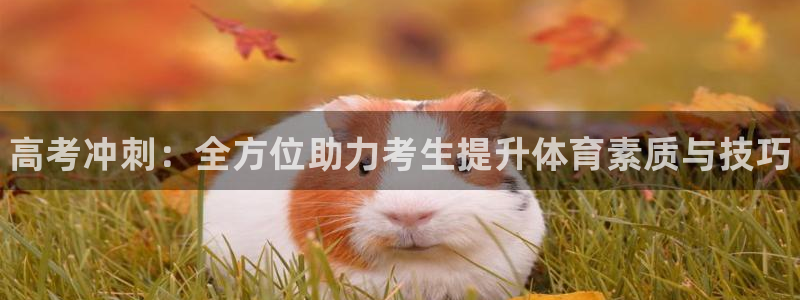 极悦娱乐成7O777：高考冲刺：全方位助力考生提升体