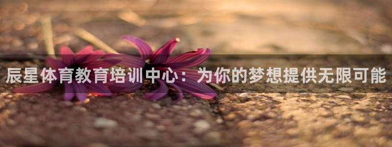 加盟极悦教育要多少钱：辰星体育教育培训中心：为你的梦想提供无