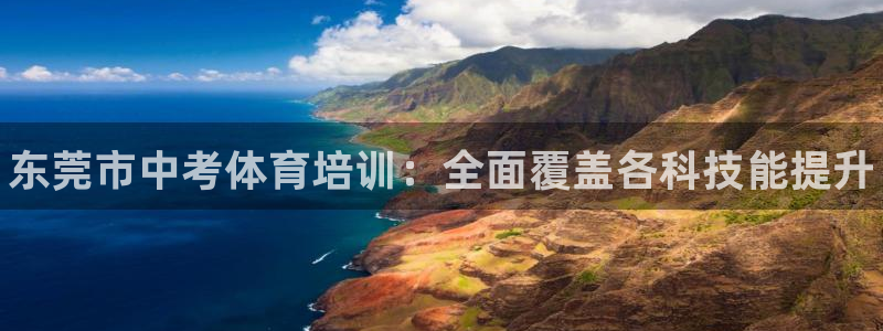 加盟极悦教育要多少钱：东莞市中考体育培训：全面覆盖各科技能提