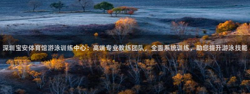 极悦平台注册用户名格式是什么：深圳宝安体育馆游泳训练中心：高