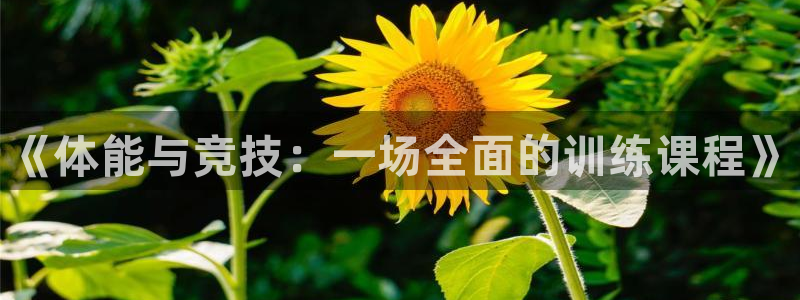极悦娱乐的创始人背景故事介绍：《体能与竞技：一场全面的训练课